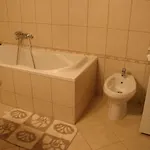 Nina Apartament Novi Vinodolski
